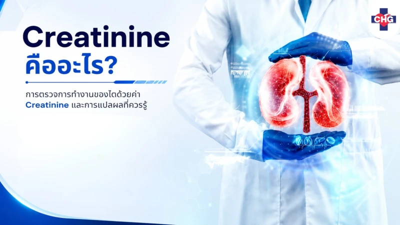 Creatinine คืออะไร? การตรวจการทำงานของไตด้วยค่า Creatinine และการแปลผลที่ควรรู้