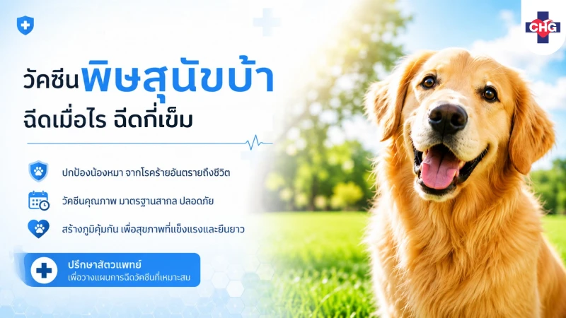 วัคซีนพิษสุนัขบ้า ฉีดเมื่อไร ฉีดกี่เข็ม
